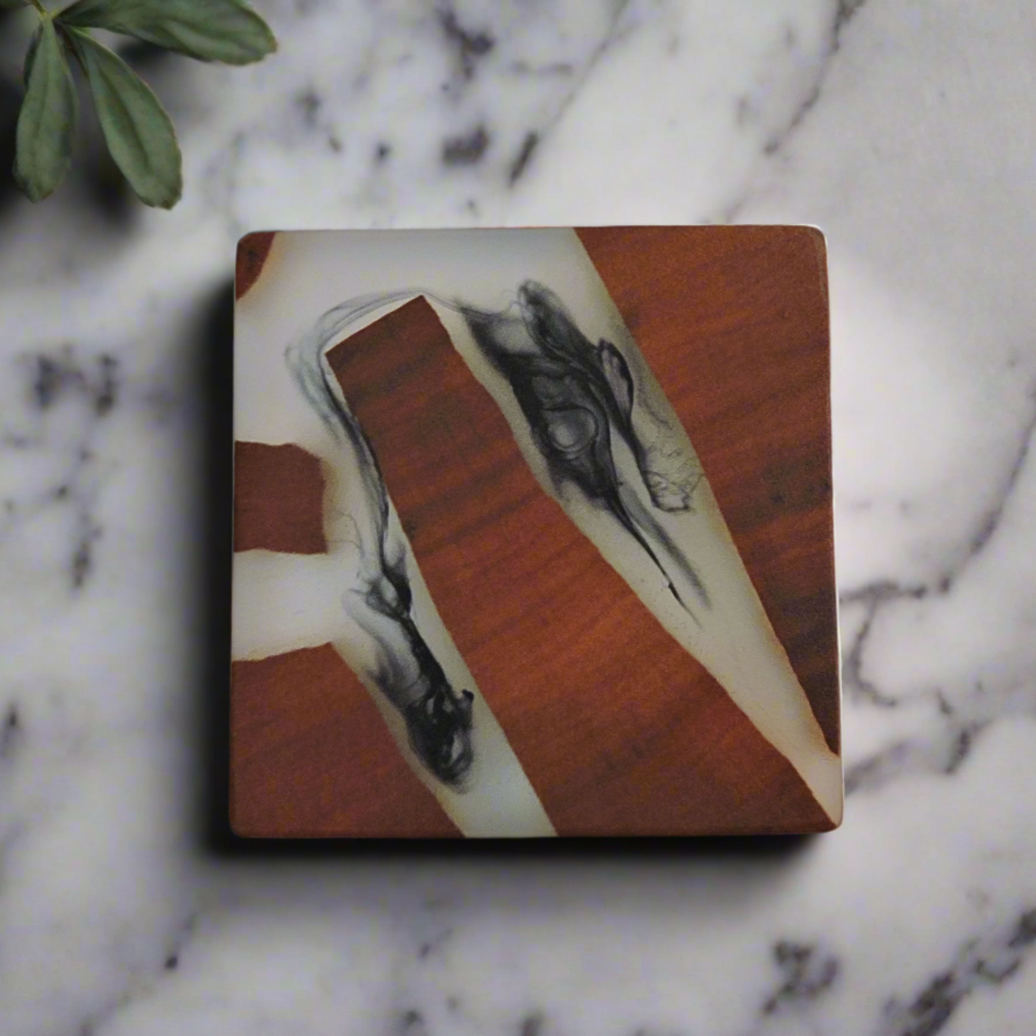 tigerwood-resin-coasters-rw